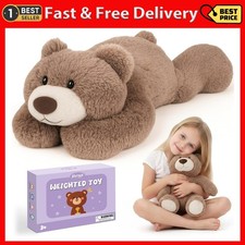 Joyreal 1.5kg Weighted Teddy