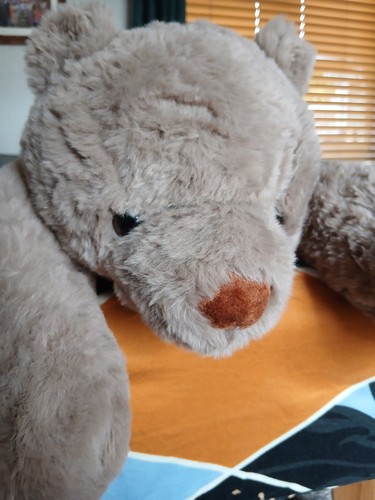 Weighted teddy bear - teddy, soft